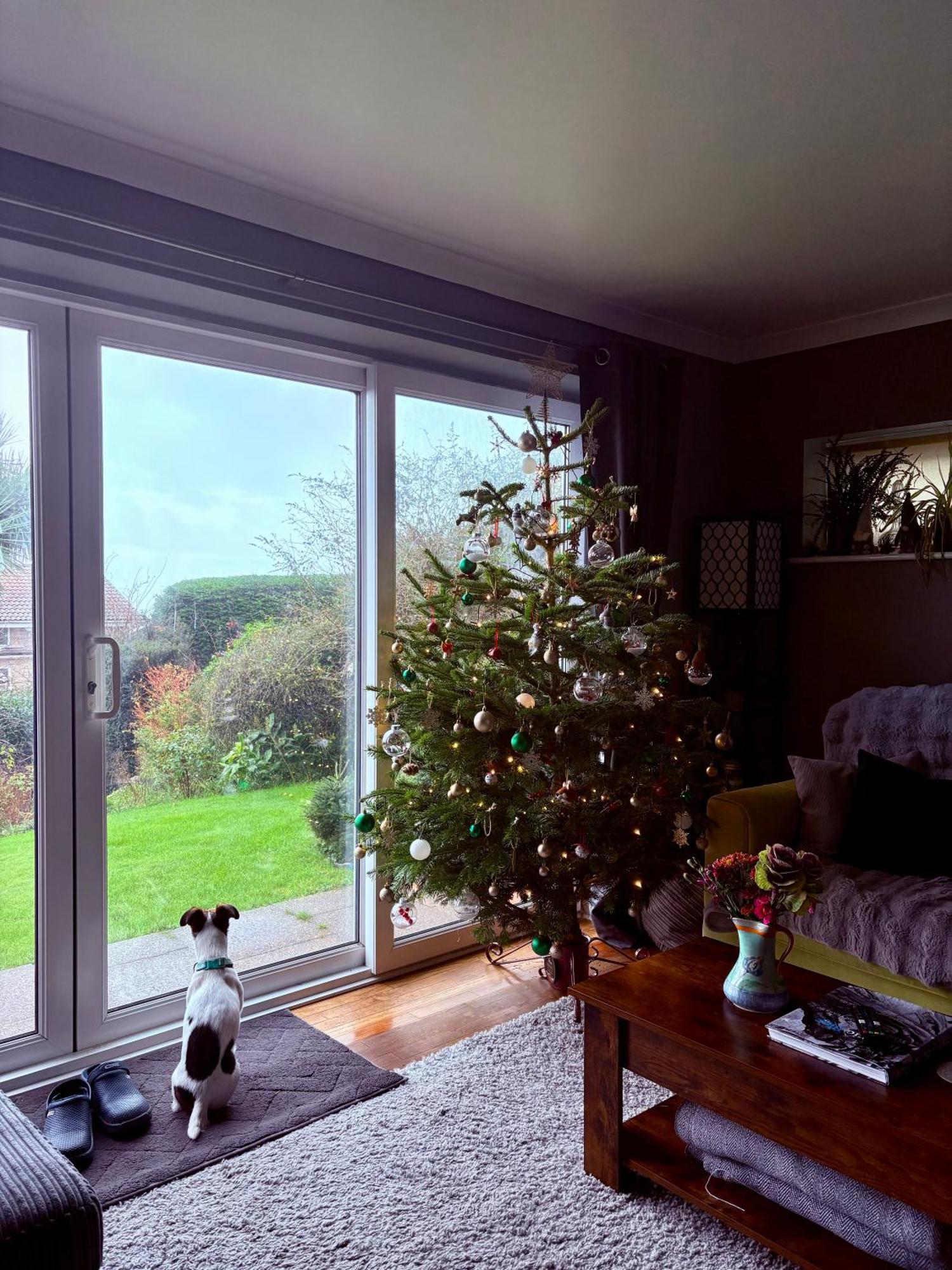 Stunning Charmouth Property With Bay Views! 外观 照片
